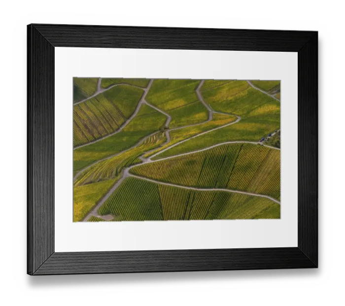 Framed Print : Aerial view, Moselle wine region
