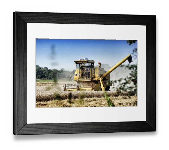 Framed Print : Combine harvester, wheat harvest Framed Print : Combine harvester, wheat harvest