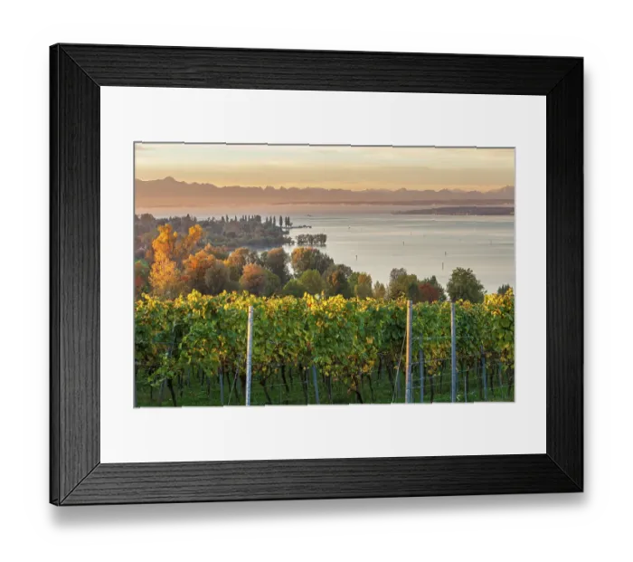 Framed Print : Lake Constance with an Alpine panorama at sunrise