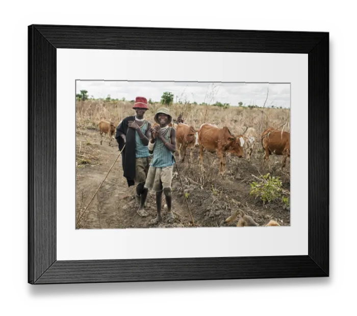 Framed Print : Wasukuma cattle herder boys, Kilombero Valley