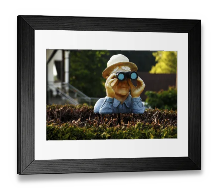 Framed Print : Figure with binoculars looking over a hedge Framed Print : Figure with binoculars looking over a hedge