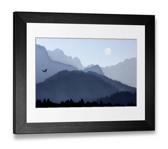 Framed Print : COMPOSING moon eagle
