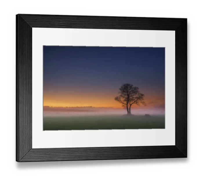 Framed Print : Bare tree in meadow, sunset, fog
