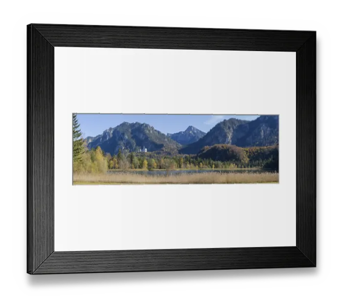 Framed Print : Panorama of the autumn reed bank on Schwansee