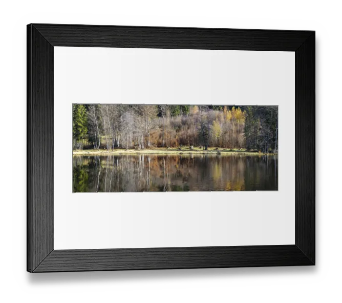 Framed Print : Late autumn, water reflection in moor pond Framed Print : Late autumn, water reflection in moor pond