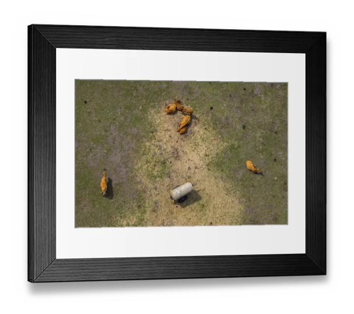 Framed Print : Aerial view, equestrian center Framed Print : Aerial view, equestrian center