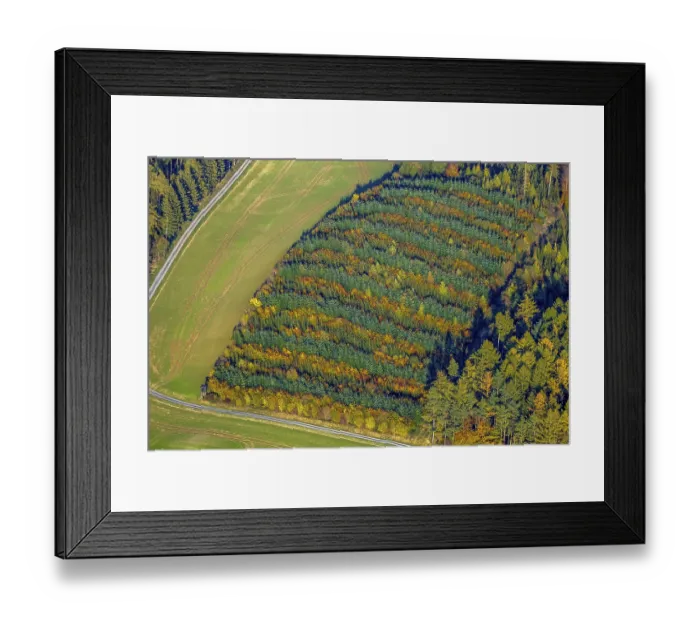 Framed Print : Aerial view, mixed forest at Hennesee near Mulsborn Framed Print : Aerial view, mixed forest at Hennesee near Mulsborn