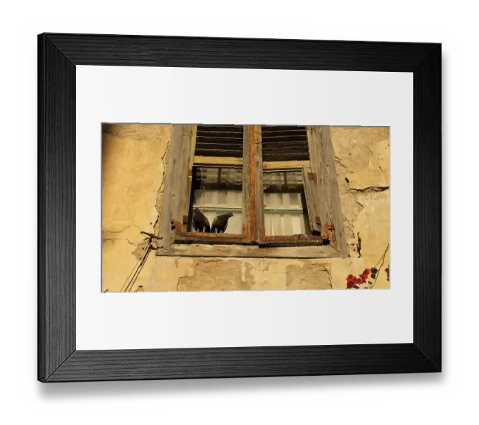 Framed Print : Old town of Nauplion, Two doves on an old