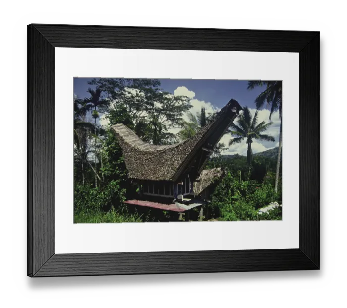 Framed Print : Batak Toba house in the Sumatra jungle, Indonesia