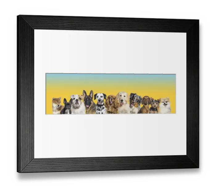 Framed Print : Row of different size Framed Print : Row of different size