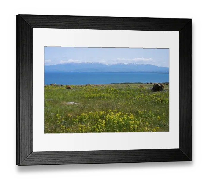Framed Print : Blooming meadow in front of a lake with mountains in the background