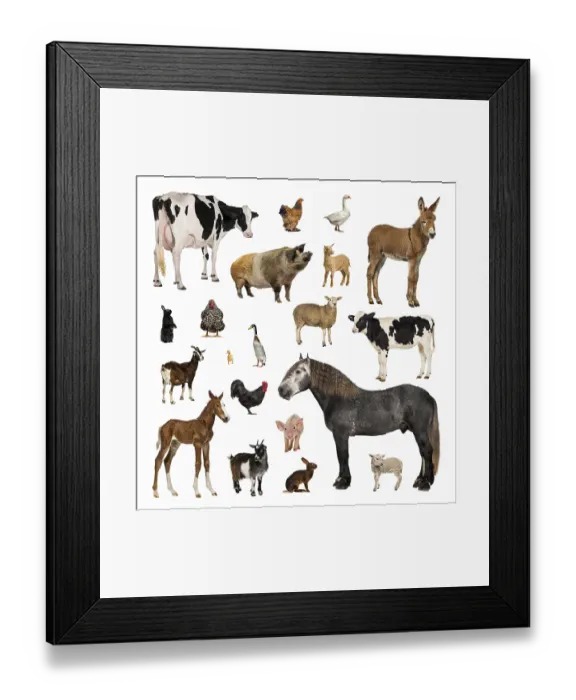 Framed Print : Large collection of farm animal