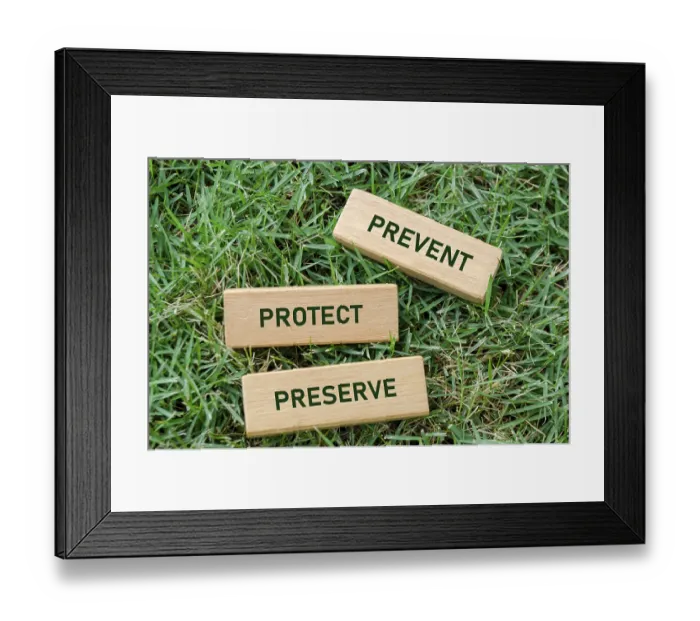 Framed Print : Prevent Preserve Protect text on wooden blocks
