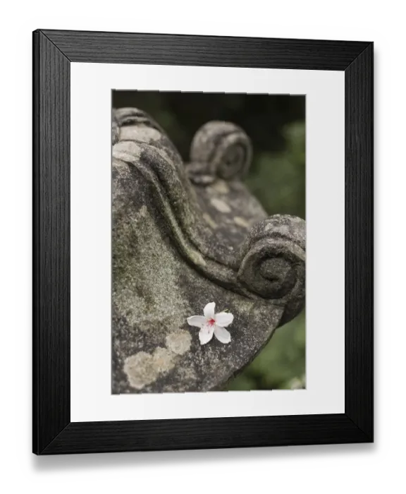 Framed Print : Traditional asian stone lantern in garden