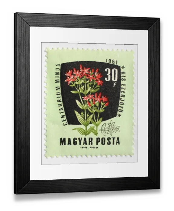 Framed Print : Medicinal plant as stamp motif