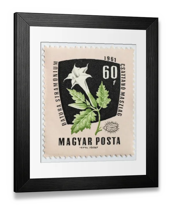 Framed Print : Medicinal plant as stamp motif