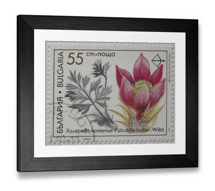 Framed Print : Medicinal plant as stamp motif