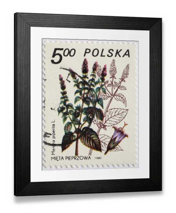 Framed Print : Medicinal plant as stamp motif