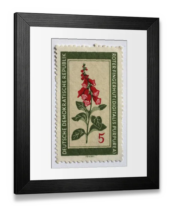 Framed Print : Medicinal plant as stamp motif