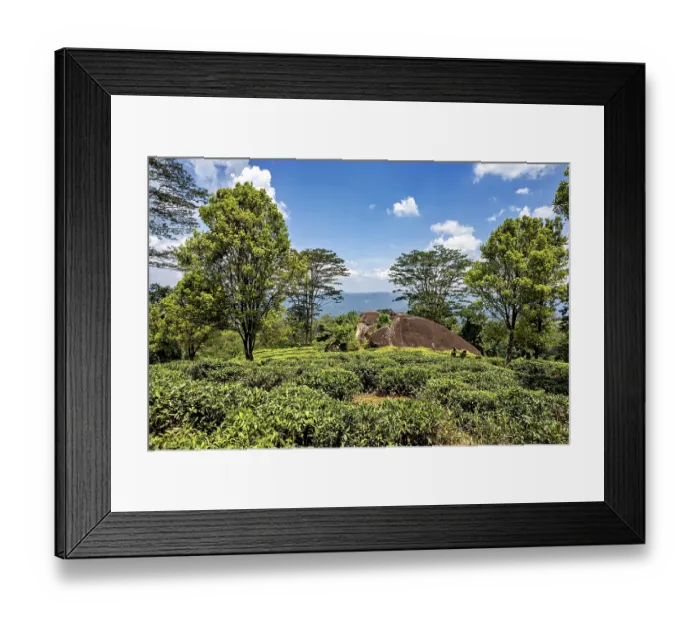 Framed Print : Wide landscape with green trees and rocks under a blue