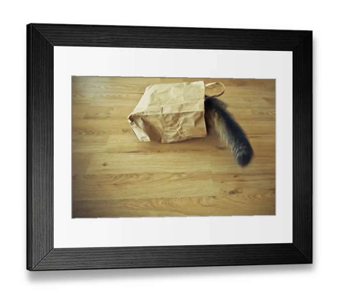 Framed Print : A cat's furry tail sticking out of a paper bag on a wooden floor