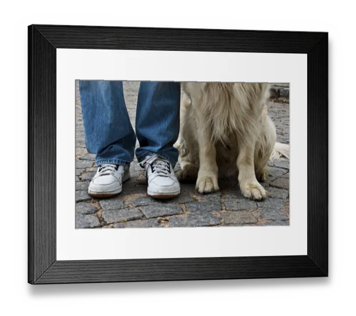 Framed Print : A dog sitting beside a person's legs on a cobblestone street