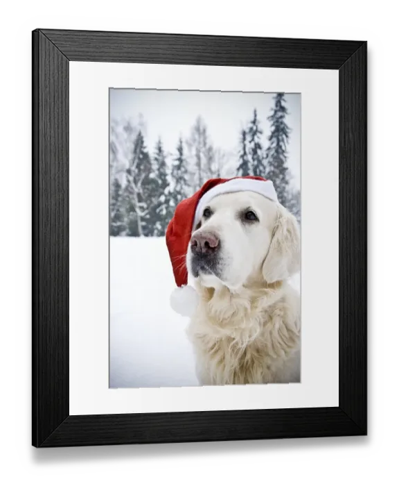 Framed Print : Golden retriever wearing a Santa hat with a snowy forest background