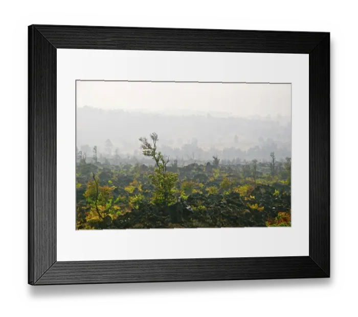 Framed Print : Foggy landscape of the valley, where the volcano was