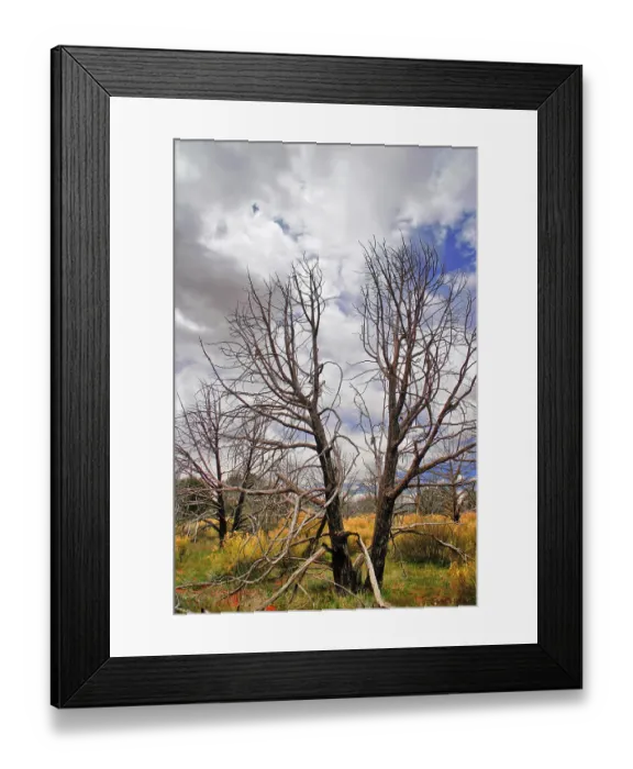 Framed Print : Great landscape of Utah state. USA