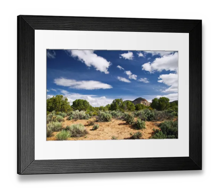 Framed Print : Great landscape of Utah state. USA