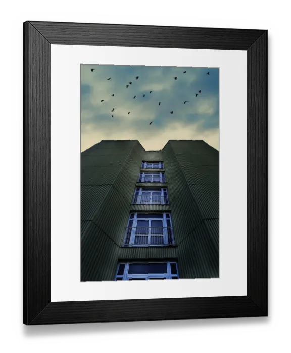 Framed Print : A tall building with birds flying against a cloudy