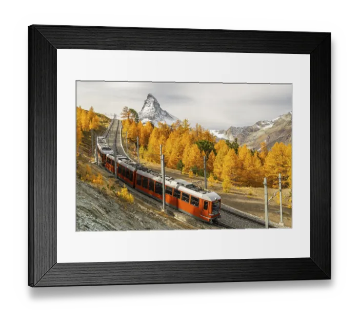 Framed Print : Gornergrat Railway Train, Matterhorn Mountain and Yellow Golden Larches in Autumn