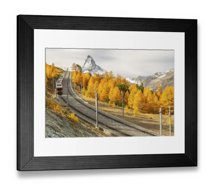 Framed Print : Gornergrat Rack Railway Train, Matterhorn Mountain and Yellow Golden Larches in Autumn