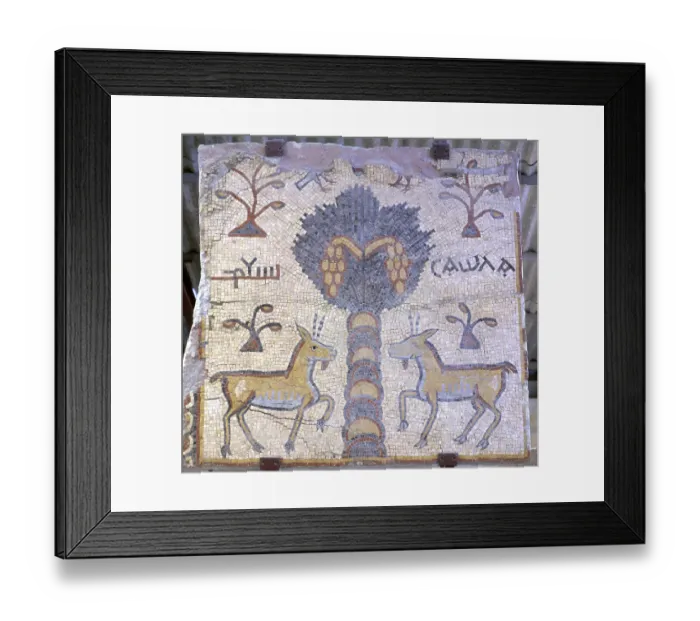 Framed Print : Mount Nebo, mosaic, Es-syagha mosaic floor
