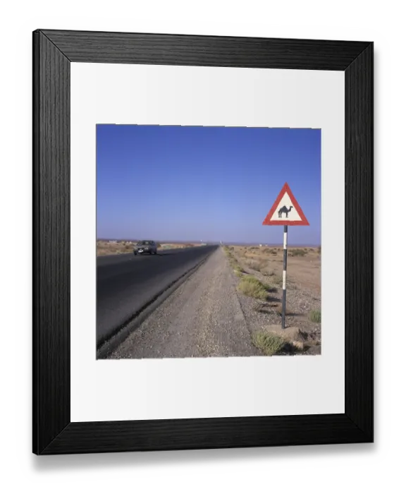 Framed Print : Verkerhsschild, Beware Camel, Jordan