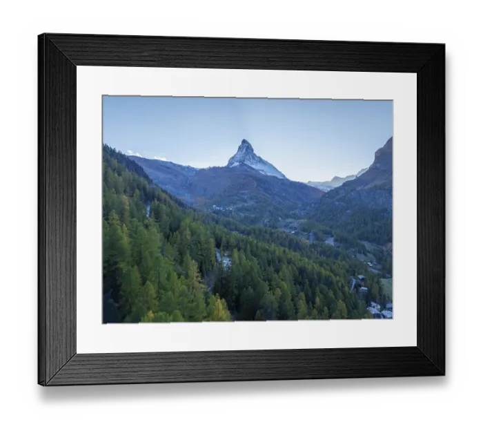 Framed Print : Matterhorn Mountain and Green Larches in Autumn in Evening