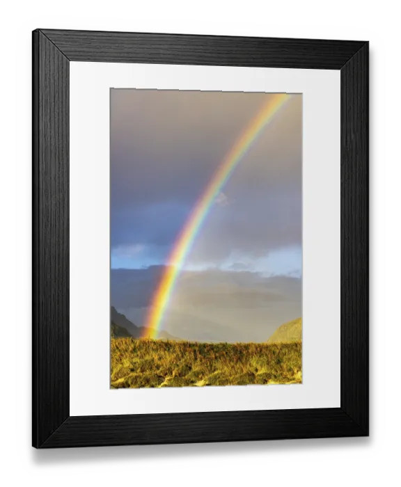 Framed Print : Rainbow over the campground, Flakstad Framed Print : Rainbow over the campground, Flakstad