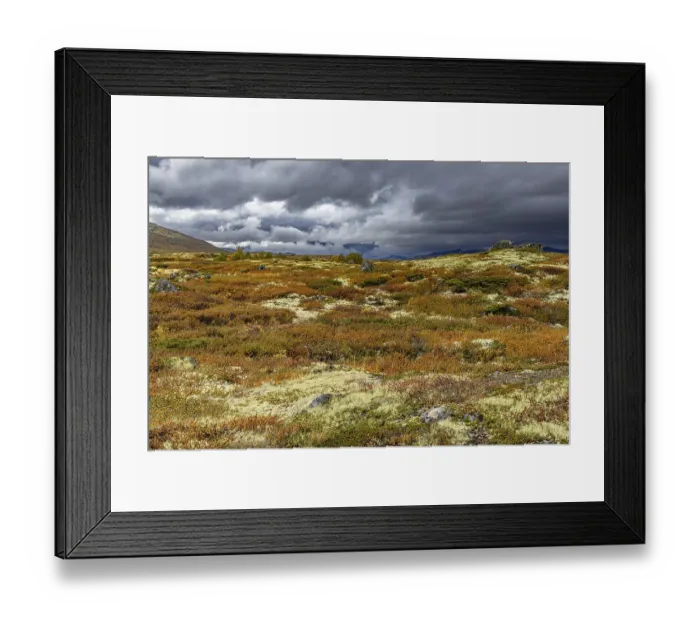 Framed Print : Autumn on Dovrefjell, Innlandet, Norway