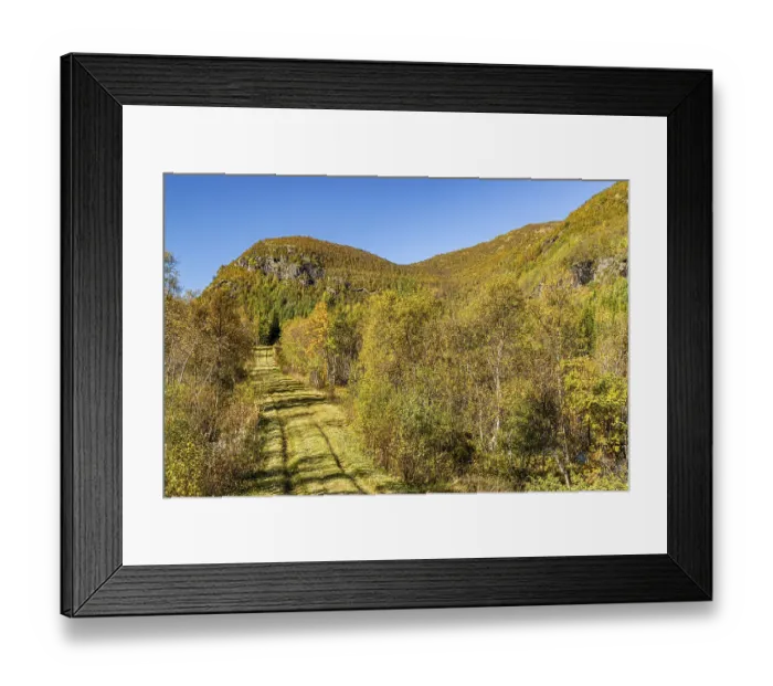 Framed Print : Kongensvegen on Filefjell, Innlandet, Norway Framed Print : Kongensvegen on Filefjell, Innlandet, Norway