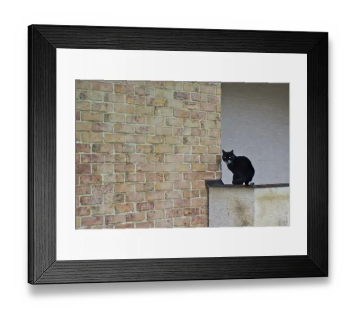 Framed Print : A black cat sits alone on the edge of a balcony against a brick wall