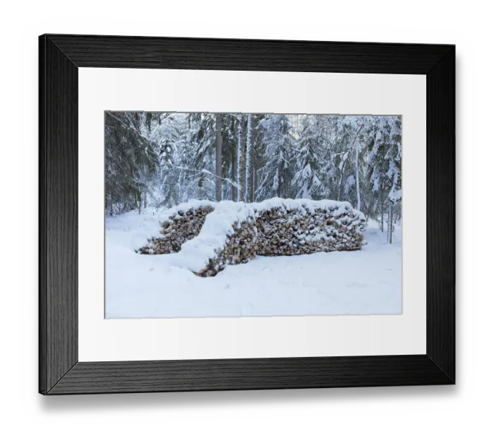 Framed Print : A snow covered pile of logs harvested in winter forest all ready for transport