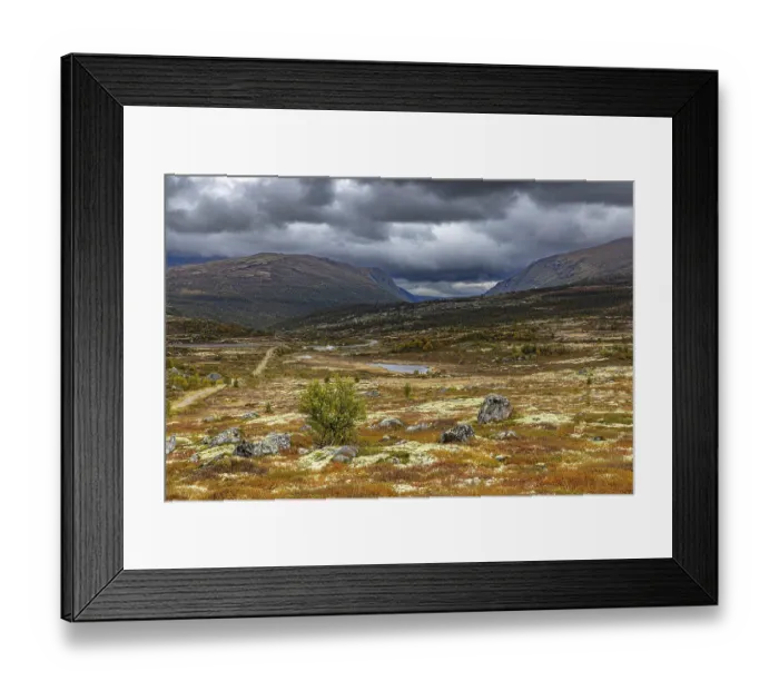 Framed Print : Autumn on Dovrefjell, Innlandet, Norway Framed Print : Autumn on Dovrefjell, Innlandet, Norway