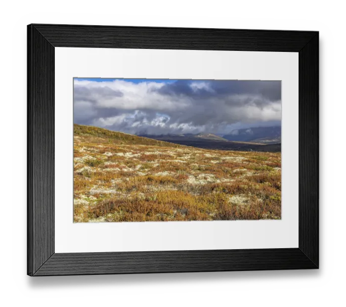 Framed Print : Hiking to Snohetta Viewpoint, Dovrefjell NP