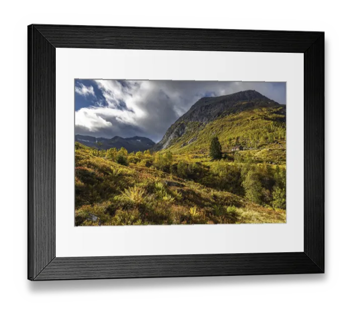 Framed Print : Autumn colors on the R5, Vestland, Norway
