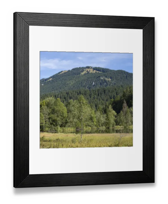 Framed Print : Landscape near Suttensee, wetland