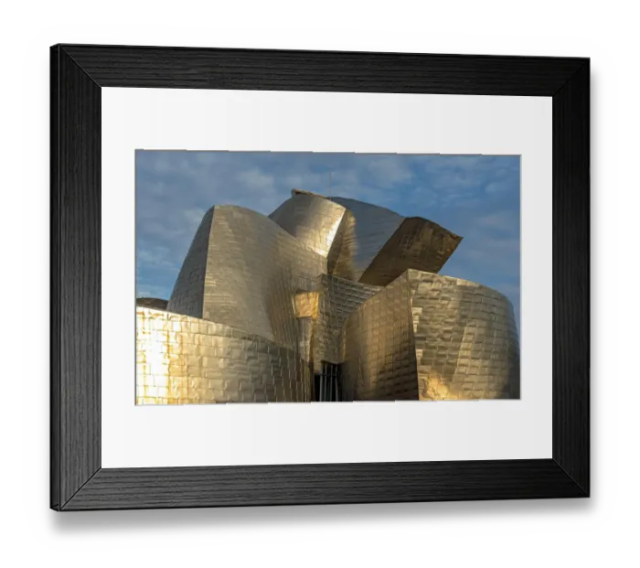 Framed Print : ibxpsi05083124.jpg