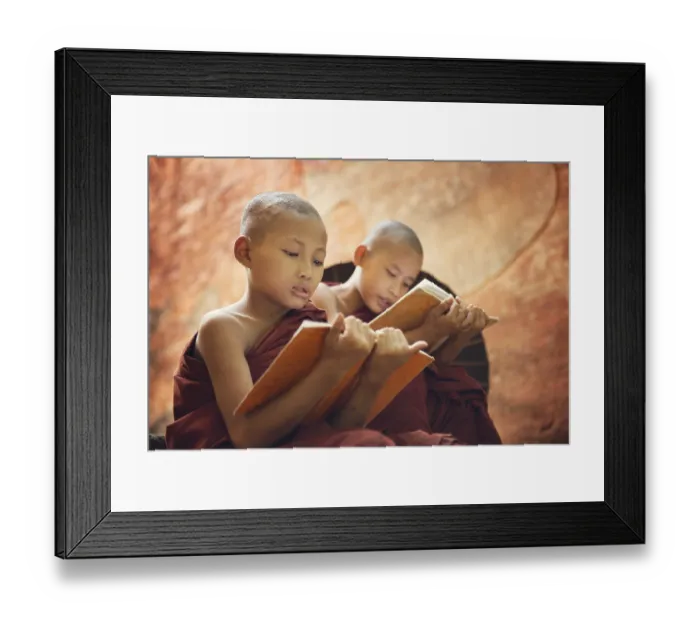 Framed Print : Young Buddhist novice monk reading and study outside monastery