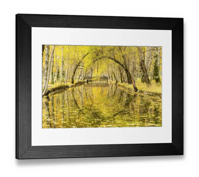 Framed Print : Yellow Birch Trees and Zezere River Source at Covao da Ametade in Autumn