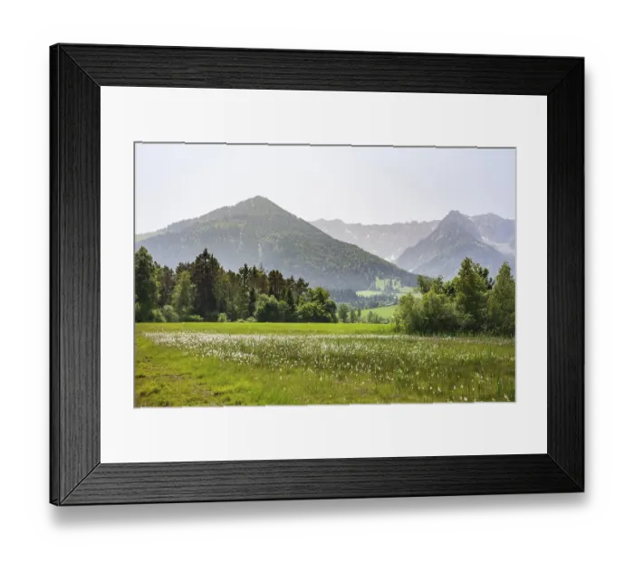 Framed Print : Walchsee, flower meadow and Zahmer Kiaser mountain range
