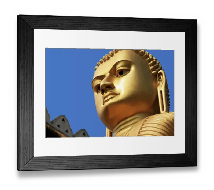 Framed Print : The giant golden Buddha statue sitting on the roof of the Golden Temple in Dambulla